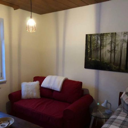 Chez nous Apartman Pfronten Kültér fotó